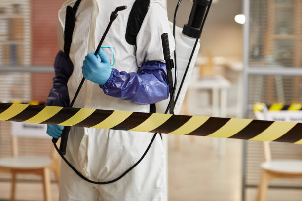 Professional Sewage Cleanup technician working in Saint Clair, MO